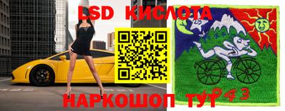 спиды Кинель