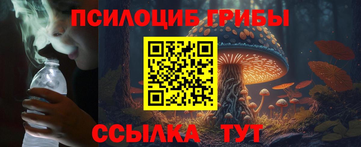 Псилоцибиновые грибы Psilocybine cubensis Уварово